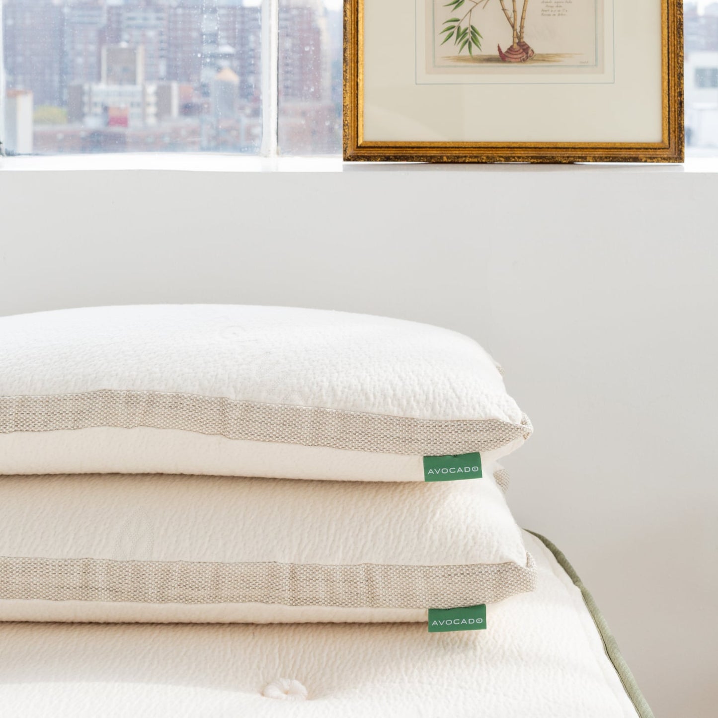 Pair of Avocado Molded Latex Pillows