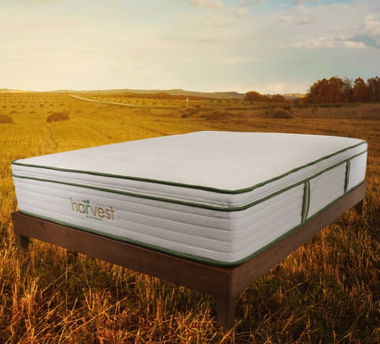 Harvest Green Mattress