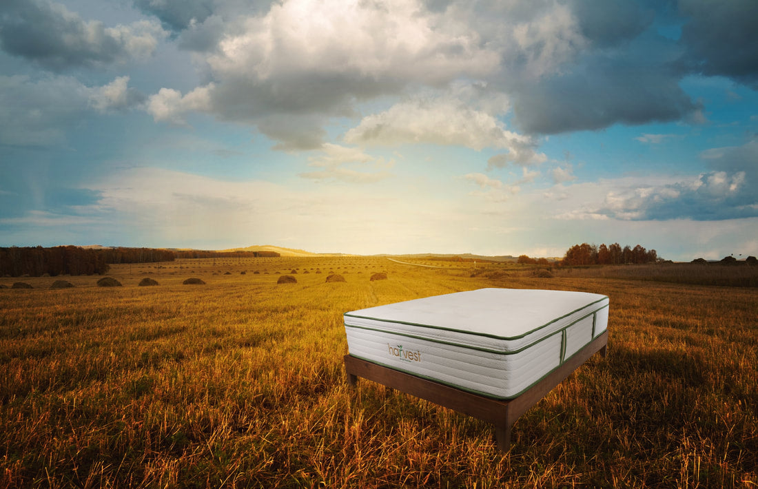 Harvest Green Mattress