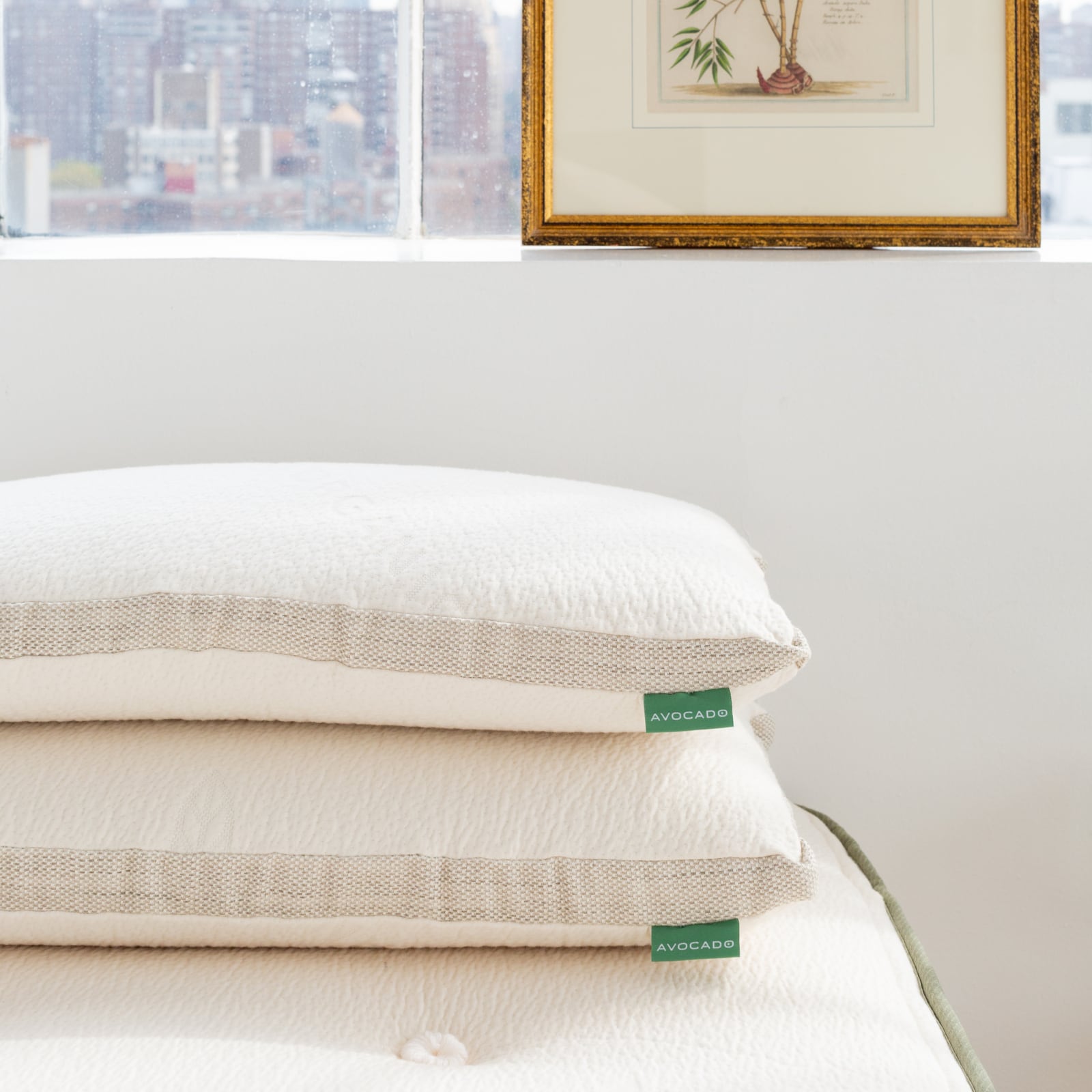 Pair of Avocado Molded Latex Pillows