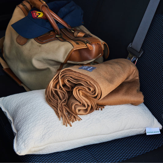 Organic Mini Travel Pillow
