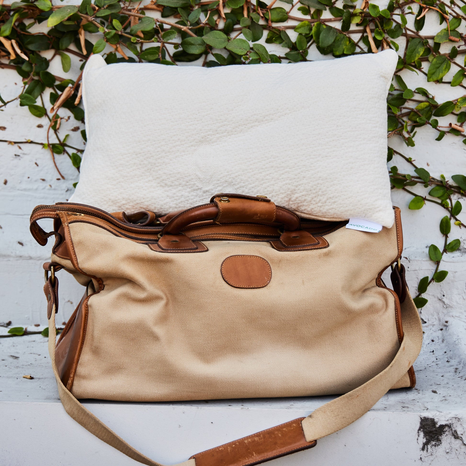 Organic Mini Pillow in Bag