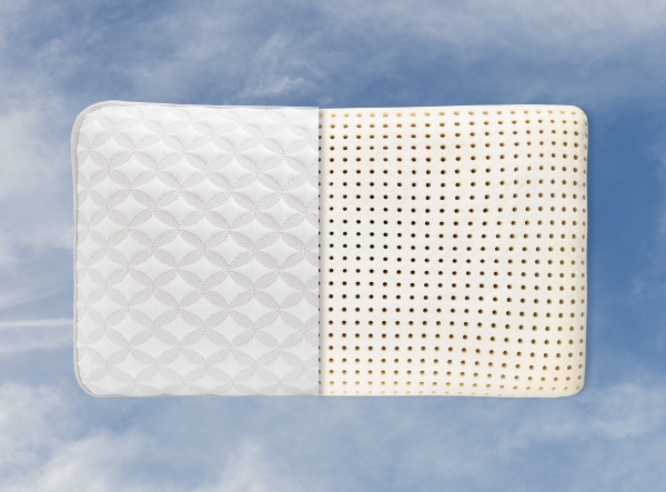 Talalay pillow cutaway showing cover and ventilated latex core