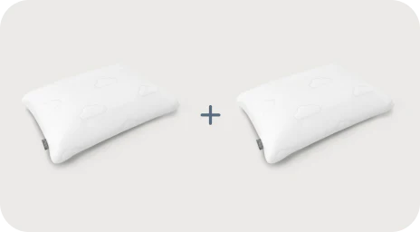 Puffy Signature Pillow