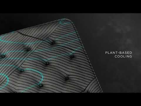 Beautyrest Black Mattress Bedder Mattress