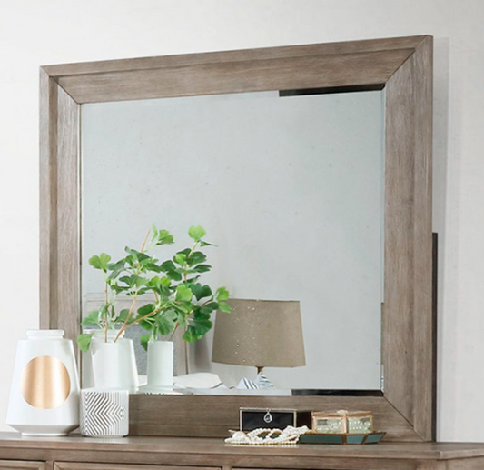 Anneke Transitional  Gray Mirror