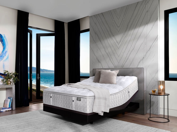Aireloom Preferred Luxetop M2 + Plush Mattress