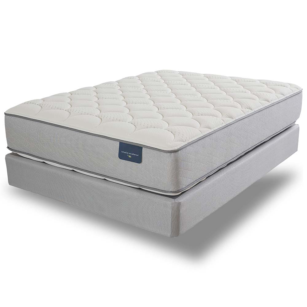 Presidential Hotel Suite Plush Flippable Serta Perfect Sleeper Mattress