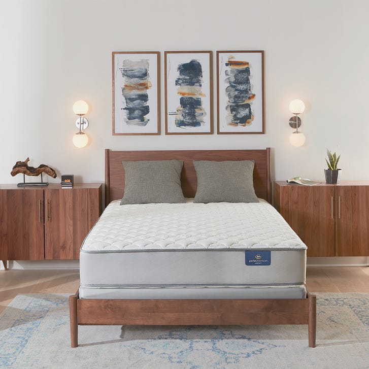 Presidential Hotel Suite Firm Flippable Serta Perfect Sleeper Mattress