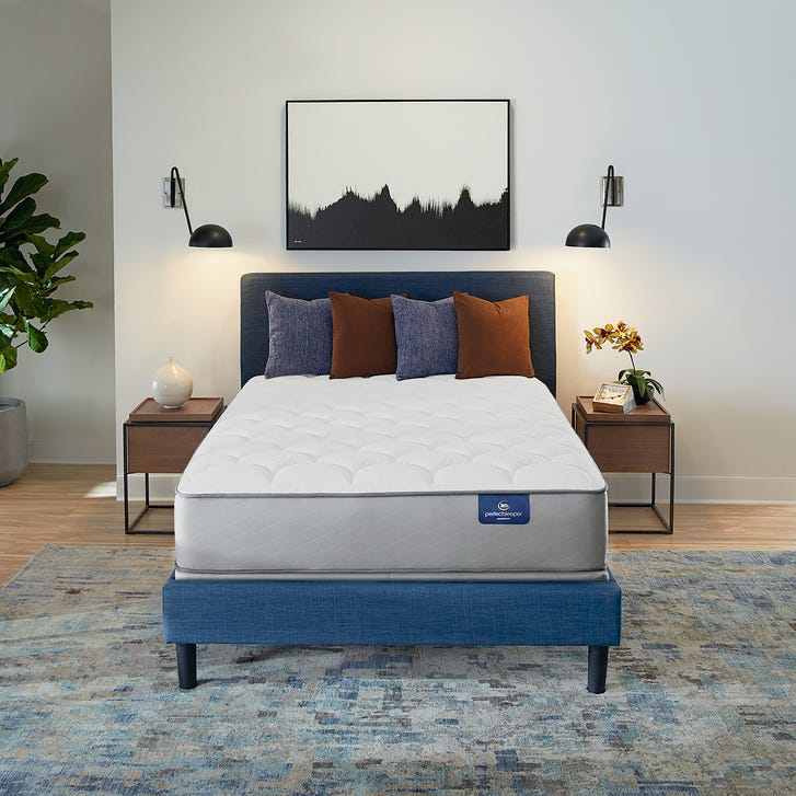 Presidential Hotel Suite Plush Flippable Serta Perfect Sleeper Mattress